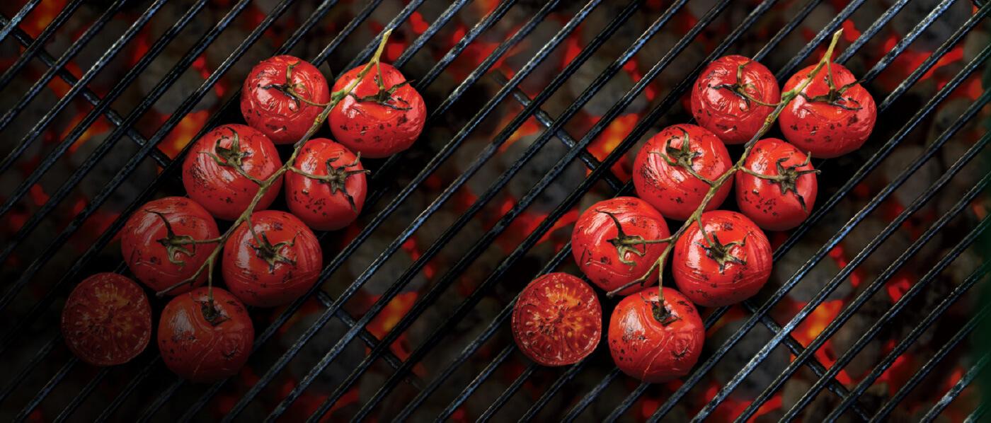 Deux grappes de tomates mûries sur pied sur un gril chaud