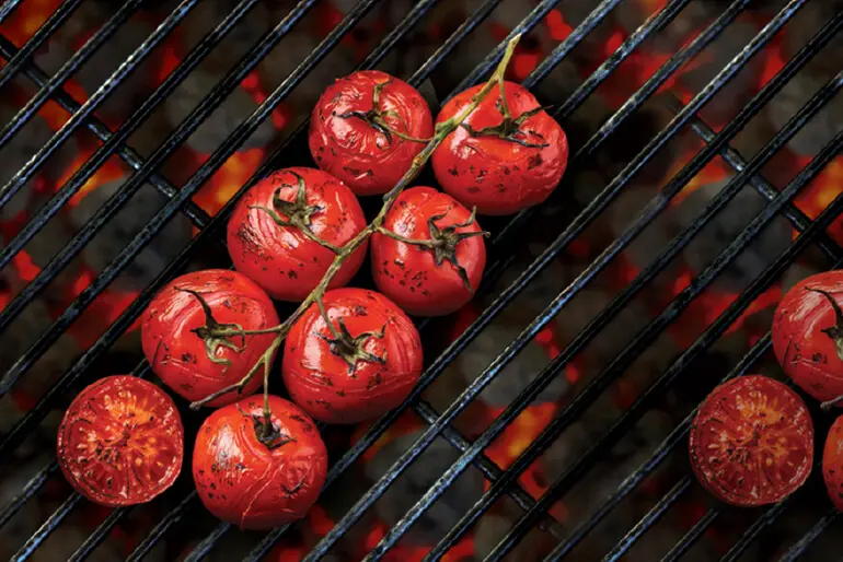 Vine tomatoes roasting over hot coal on a barbecue grill.