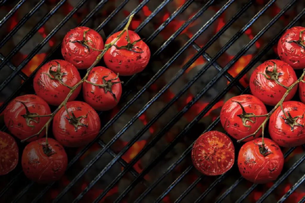 Vine tomatoes roasting over hot coal on a barbecue grill.